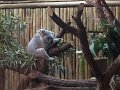 Kids_DFWzoo_3-2016 (148)